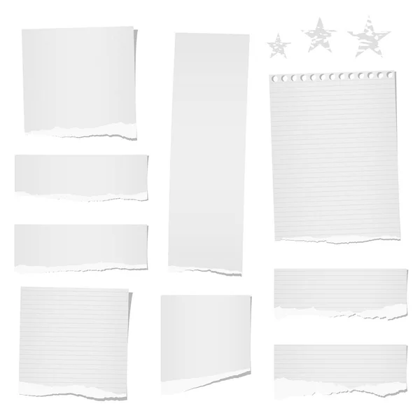 Déchirée règle et blanc note, bloc-notes, bandes de papier, feuilles pour tex ou message collé sur fond blanc . — Image vectorielle
