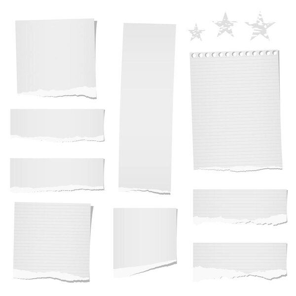 Torn ruled and blank note, notebook, paper strips, sheets for tex or message stuck on white background.