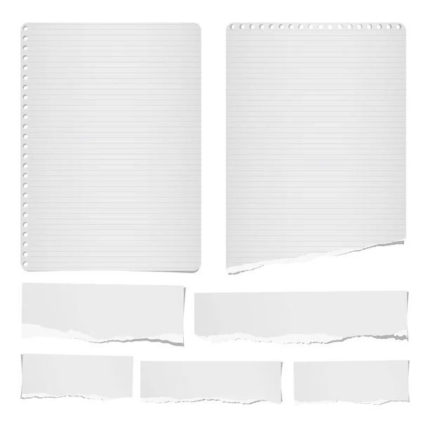 Torn ruled and blank note, notebook, paper strips, sheets for tex or message stuck on white background. — Stock Vector