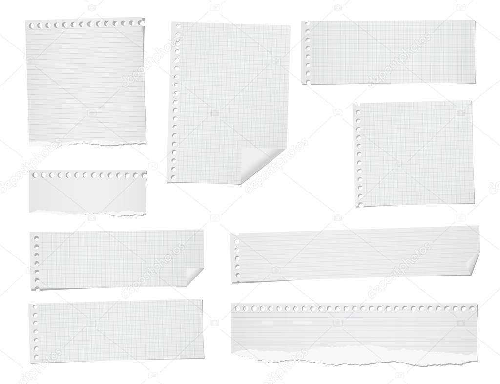 Ripped lined, squared note, notebook paper sheets for text or message stuck on white background.
