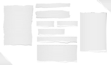 Çizgili ve boş Not sökük, defter kağıt şeritler, sayfaları metin veya ileti için sıkışmış beyaz arka plan üzerinde