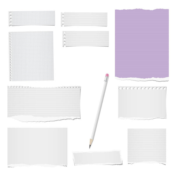 White, colorful ripped lined and blank note, notebook paper strips, sheets for text or message with pencil