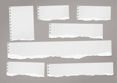 Koyu gri arka plan üzerinde yırtık çizgili defter kağıt şeritler metin veya ileti için sıkışmış.