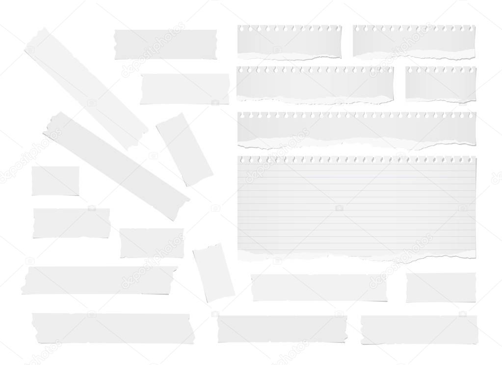 Ripped lined note, notebook paper strips, sheets, blank adhesive, sticky tape for text or message stuck on white background