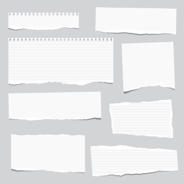 Beyaz Not yırtık, defter kağıt şeritler gri arka plan üzerinde sıkışmış.