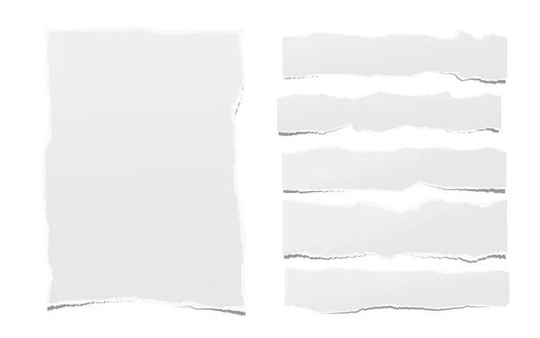Pièces de blanc déchiré note vierge, bandes de papier pour ordinateur portable pour le texte — Image vectorielle