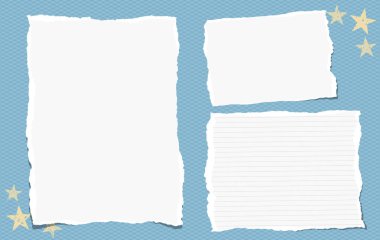 Yırtık boş ve çizgili Not, metin için defter kağıt adet mavi kare arka plan üzerinde sıkışmış. Vektör çizim.