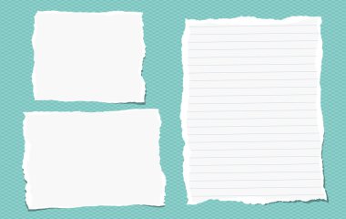 Yırtık Not defter kağıt parçaları turkuaz kare arka plan üzerinde sıkışmış metin için. Vektör çizim.