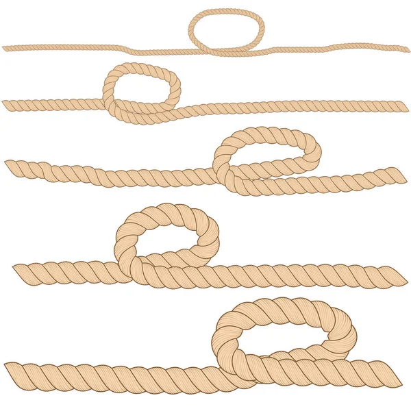 Set of horizontal brown ropes with loops are isolated on white background. — Stock Vector