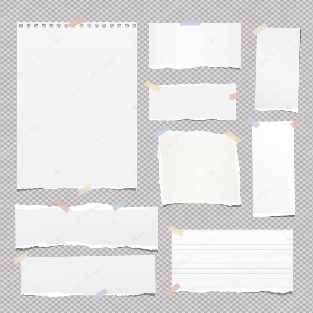 Pieces of torn white lined and blank note, notebook paper strips for text stuck on squared background