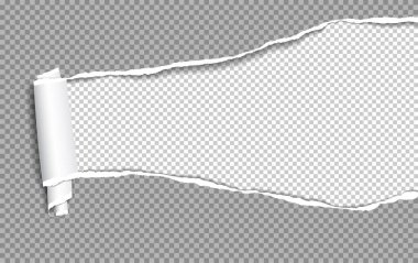 Yuvarlak ve yırtık koyu gri defter kağıtları beyaz kare arka planda yazılı. Vektör illüstrasyonu