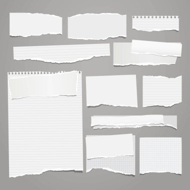 Yırtık beyaz, çizgili ve kare notalar, defter kağıdı parçaları, gri arkaplana yapıştırılmış hatırlatma bantları. Vektör illüstrasyonu