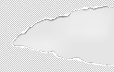 Beyaz arka planda yumuşak gölgeli yırtık kare gerçekçi kağıt parçası var. Vektör illüstrasyonu