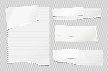 Yırtık beyaz ve çizgili notlar, defter şeritleri ve ışık karesine sıkışmış parçalar. Vektör illüstrasyonu