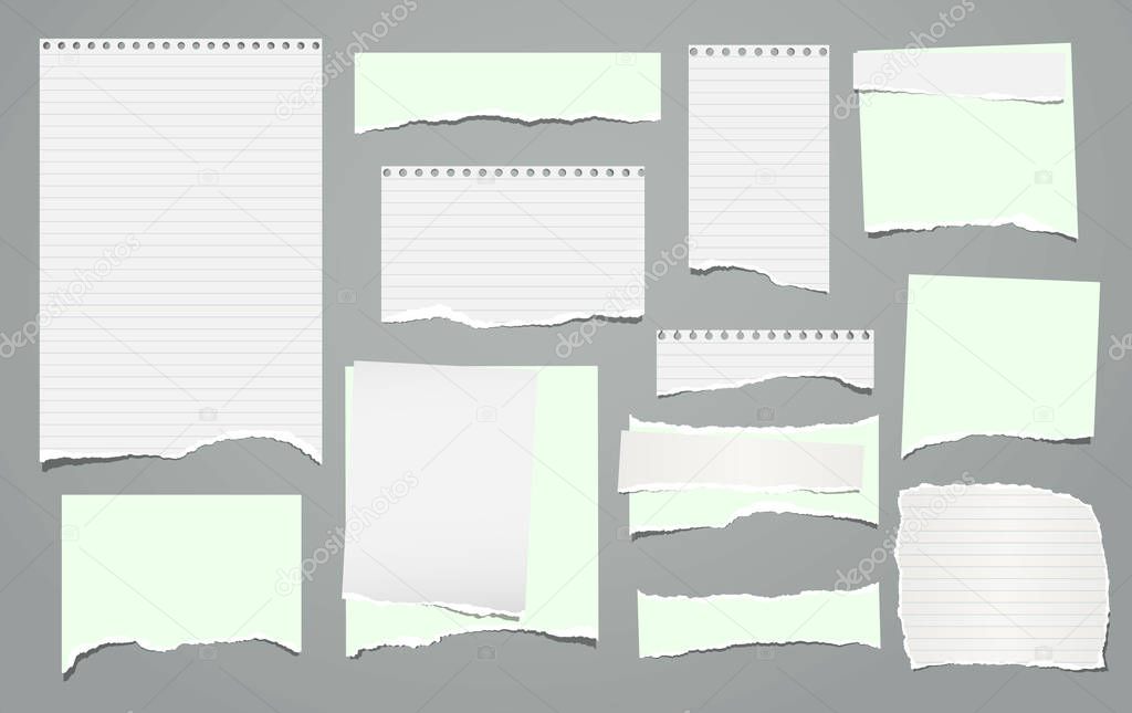 Set of torn white, lined and green note, notebook paper pieces, reminder tapes stuck on grey background. Vector illustration