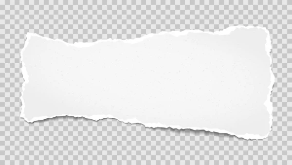 Piece of torn, white realistic horizontal paper strip with soft shadow is on grey squared background. Vector illustration — ストックベクタ