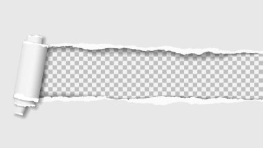 Yuvarlanmış ve yırtılmış beyaz defter kağıdı metinler için kare arkaplanda. Vektör illüstrasyonu