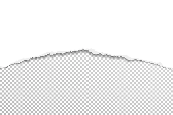 Zerrissenes, gerissenes Stück horizontales weißes Papier mit sanftem Schatten steht auf kariertem Hintergrund. Vektorillustration — Stockvektor