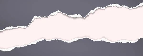 Vridna, slitna bitar av horisontellt mörkgrått papper med mjuk skugga, bakgrund för text. Vektorillustration — Stock vektor