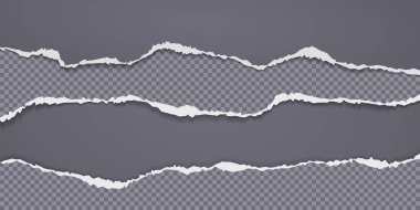 Yırtık, yatay, koyu renkli, yumuşak gölgeli kağıt parçaları gri arka planda yazılı. Vektör illüstrasyonu