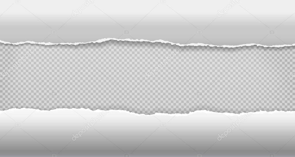 Torn, ripped and curled pieces of horizontal white paper with soft shadow are on squared background for text. Vector illustration