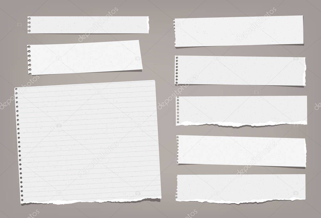 Torn white blank and lined note, notebook paper strips, pieces and sheeds stuck on brown background. Vector illustration