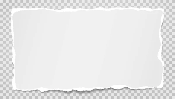 Κομμάτι σχισμένο λευκό και οριζόντιο χαρτί με απαλή σκιά είναι σε γκρι τετράγωνο φόντο για κείμενο. Εικονογράφηση διανύσματος — Διανυσματικό Αρχείο