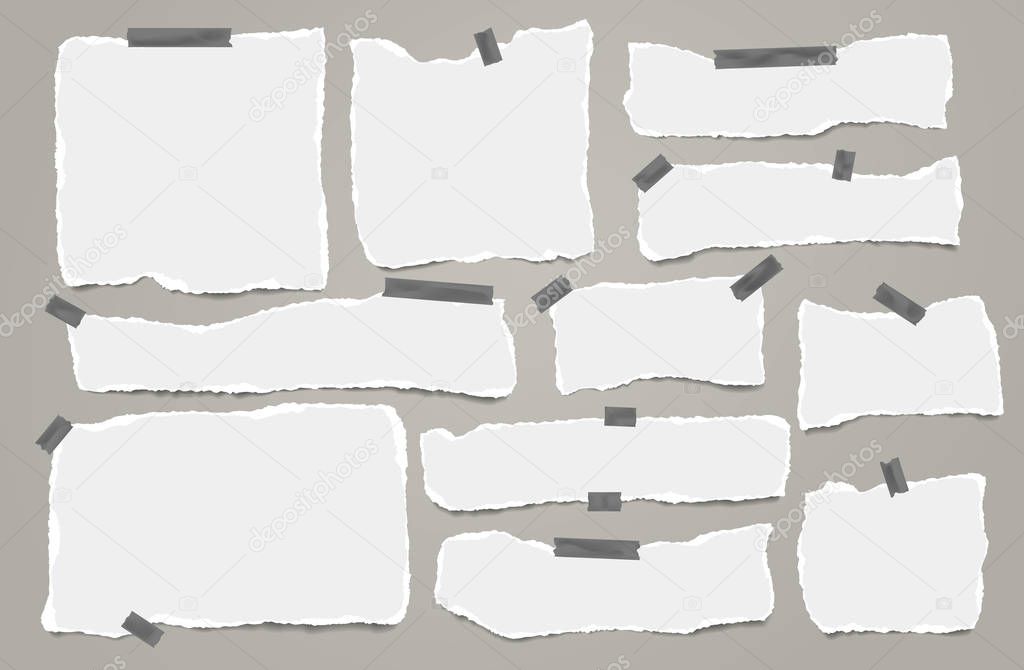 Set of torn white note, notebook paper strips and pieces stuck with sticky tape on grey background. Vector illustration