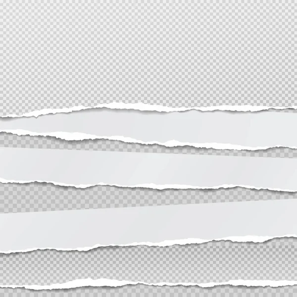 卷曲的、撕破的水平方块白纸和柔软的阴影在灰色背景上作为文本。矢量说明 — 图库矢量图片