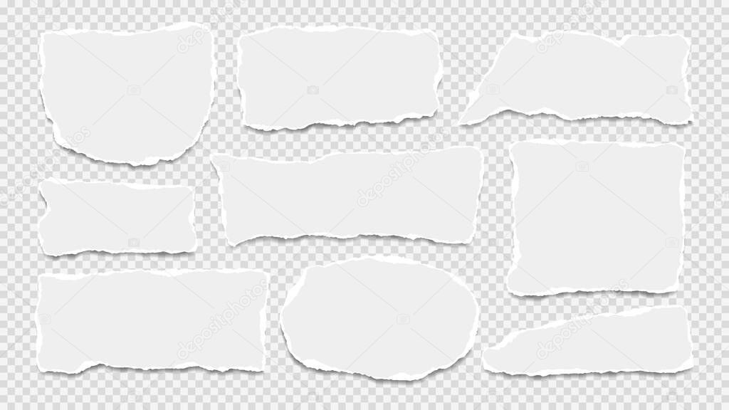 Torn white note, notebook paper strips, pieces stuck with sticky tape on grey squared background. Vector illustration