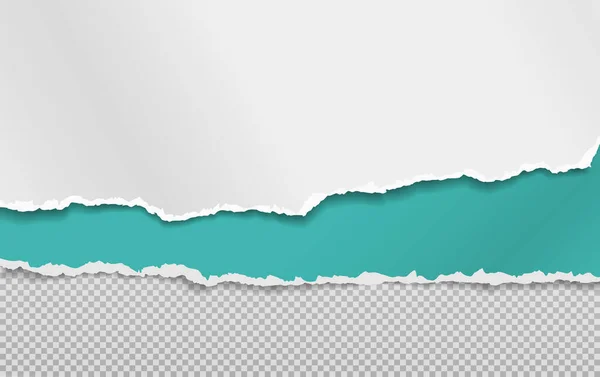 Strappati, strappati pezzi di carta orizzontale blu e bianca con ombra morbida sono su sfondo grigio quadrato per il testo. Illustrazione vettoriale — Vettoriale Stock