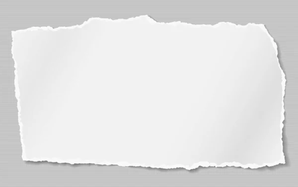 Stück zerrissener weißer Zettel, Notizbuch mit sanftem Schatten auf liniertem Hintergrund. Vektorillustration — Stockvektor