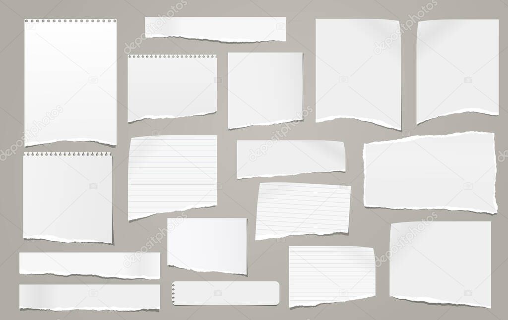 Torn of white note, notebook paper strips, pieces stuck on grey background. Vector illustration