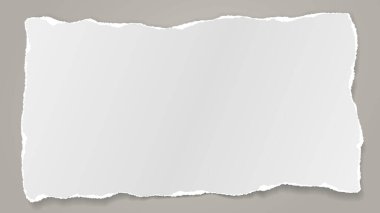 Yırtık beyaz bir not, arka planda yumuşak gölgeli bir defter kağıdı. Vektör illüstrasyonu