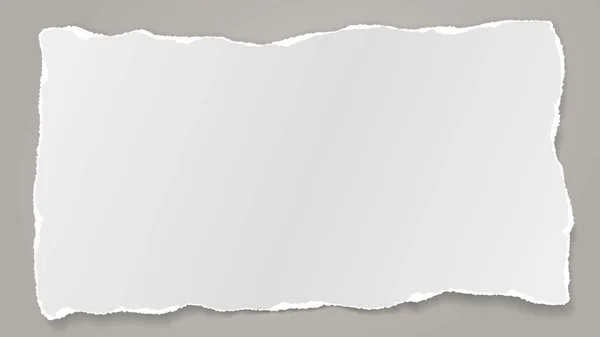 Stück zerrissener weißer Zettel, Notizbuch mit sanftem Schatten auf kariertem Hintergrund. Vektorillustration — Stockvektor