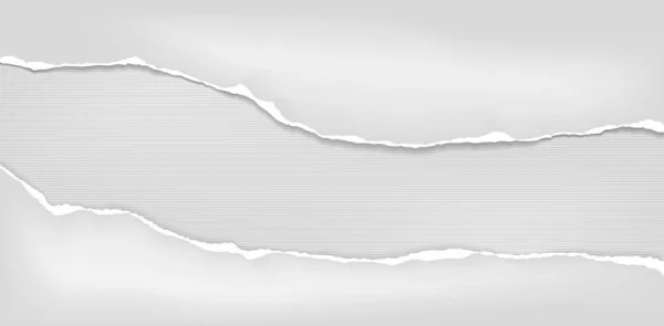 Darabok szakadt fehér vízszintes papír puha árnyék ragadt bélelt szürke háttér. Vektorillusztráció — Stock Vector