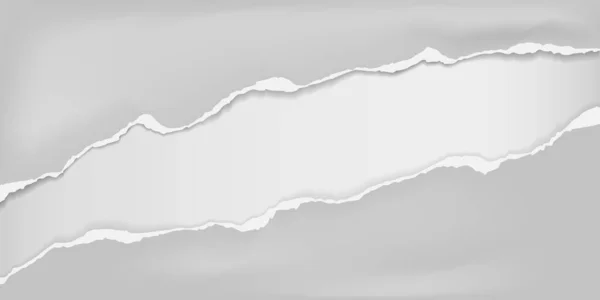 Stukken gescheurd grijs kreukelpapier met zachte schaduw geplakt op witte achtergrond. Vectorillustratie — Stockvector