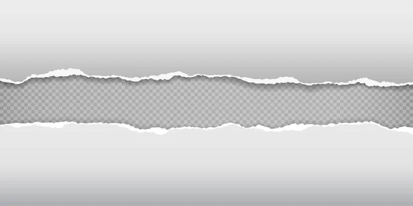 Stücke zerrissenen weißen horizontalen Knautschpapiers mit sanftem Schatten klebten auf kariertem Hintergrund. Vektorillustration — Stockvektor
