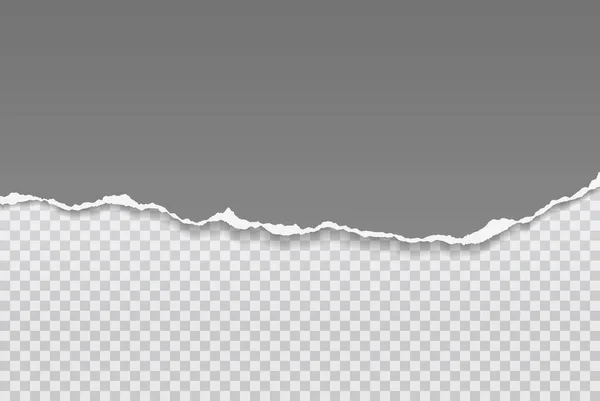 Un pedazo rasgado y rasgado de papel gris horizontal con sombra suave está sobre un fondo gris cuadrado para el texto. Ilustración vectorial — Archivo Imágenes Vectoriales