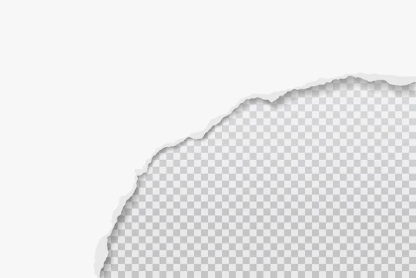 Trozo de papel blanco rasgado y desgarrado con una sombra suave sobre un fondo gris cuadrado para texto. Ilustración vectorial — Vector de stock