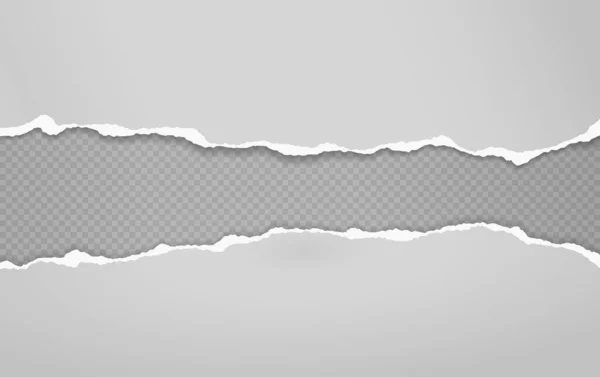 Pedaços rasgados e rasgados de papel cinzento horizontal com sombra suave estão no fundo quadrado para texto. Ilustração vetorial —  Vetores de Stock