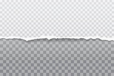 Yumuşak gölgeli, yırtık, yatay beyaz kağıt parçası metin için kare arkaplanda. Vektör illüstrasyonu