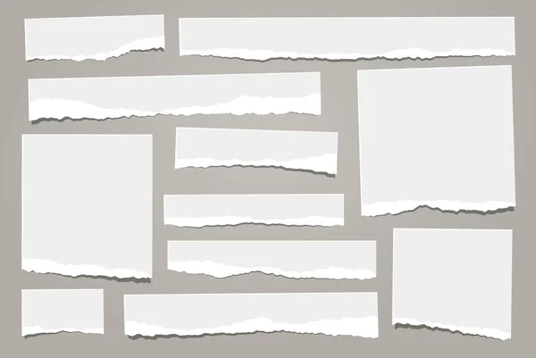 Pedaços de branco rasgado, nota rasgada, pedaços de papel notebook com sombra suave estão em fundo cinza para o texto. Ilustração vetorial — Vetor de Stock