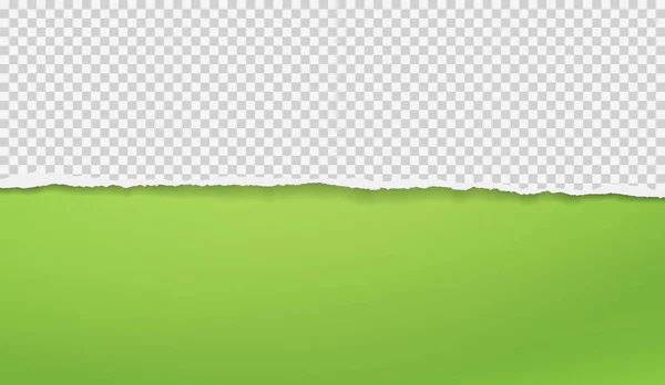 Un morceau de papier quadrillé blanc déchiré et horizontal avec une ombre douce est sur fond vert pour le texte. Illustration vectorielle — Image vectorielle