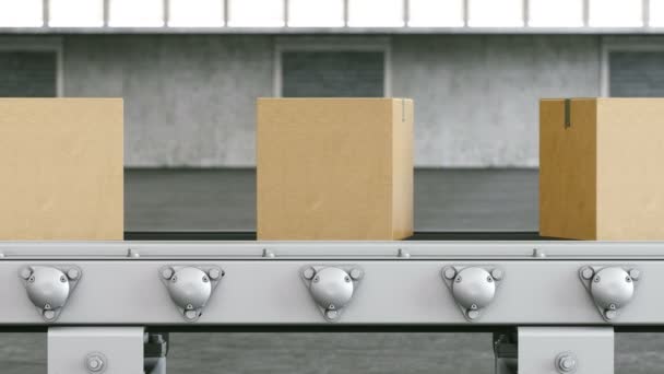 Shipping Box Conveyor Loopable — Stock Video
