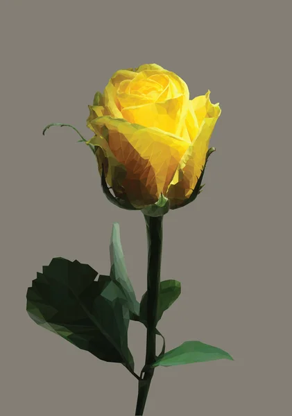 Róża żółta I — Wektor stockowy