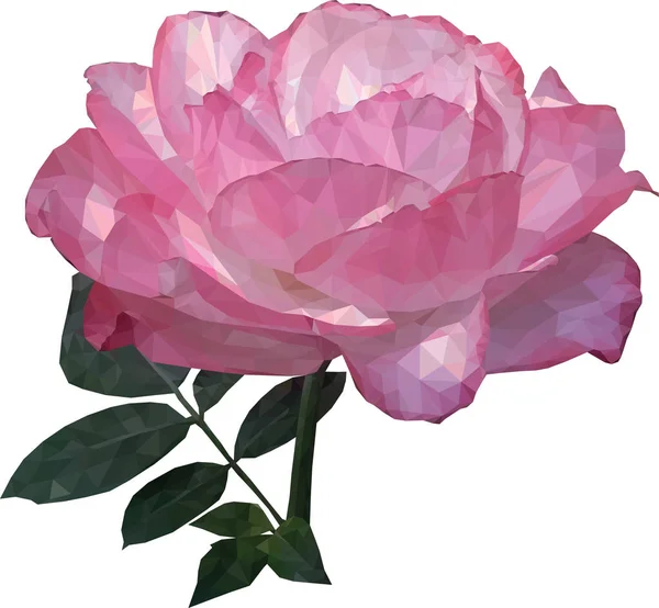 Rose Rosa Polygonal Vector Image Realistisk Bild — Stock vektor