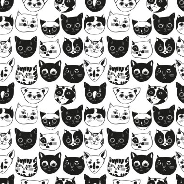 Kedilerde kusursuz desen