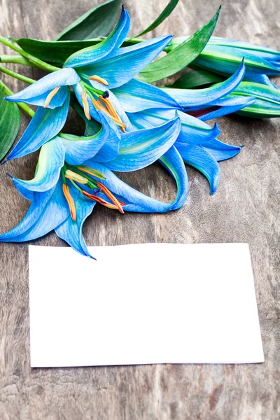 Blue  lilies on the rustic wooden table with sheet of paper — Stock Photo, Image