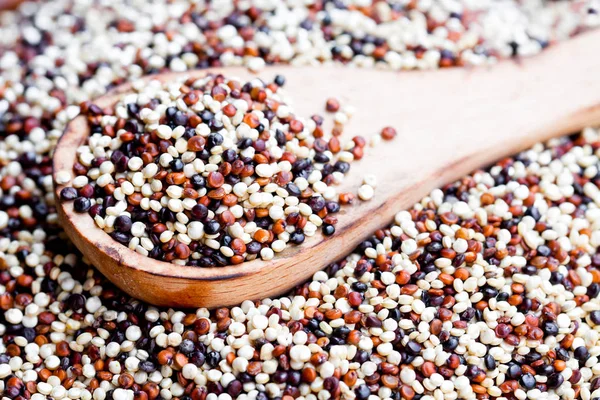 Close up van een houten lepel met quinoa zaden — Stockfoto